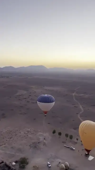 La palmeraie vue d'en haut