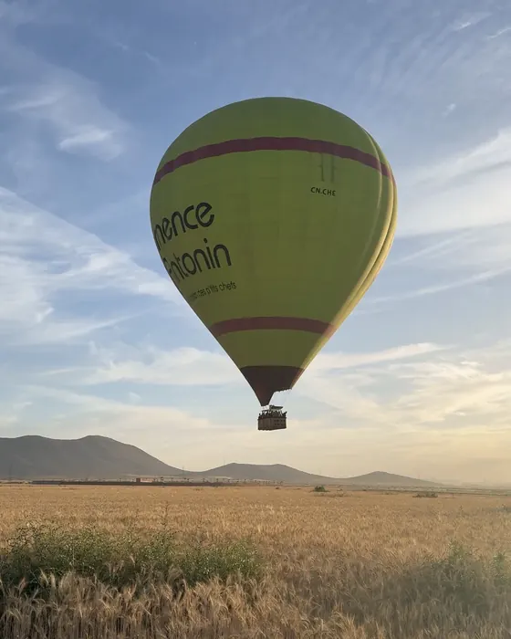 Montgolfière isolée au-dessus des champs