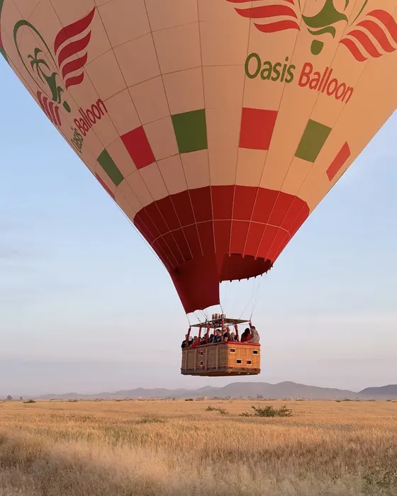 Montgolfière au-dessus d'un champ doré